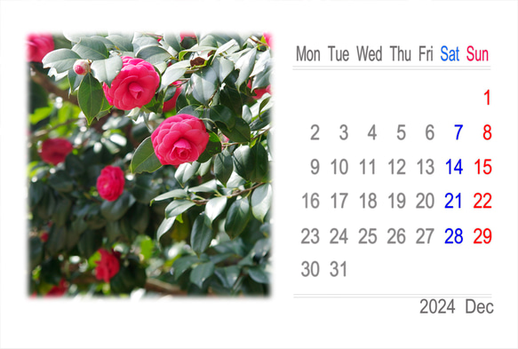 2024年カレンダー 日本の四季 月曜始まり（卓上、壁掛けケース付き） 16枚目の画像