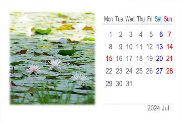 2024年カレンダー 日本の四季 月曜始まり（卓上、壁掛けケース付き） 11枚目の画像