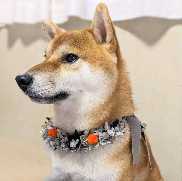 柴犬用プリザーブドフラワー首飾り・花冠　ペットアクセサリー　サイズ調整可能 9枚目の画像