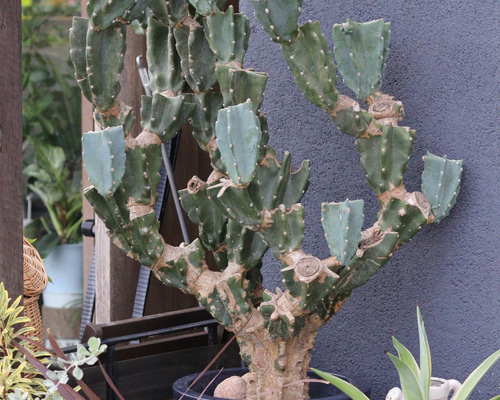 f0b7967eecde6bd99df770790972db