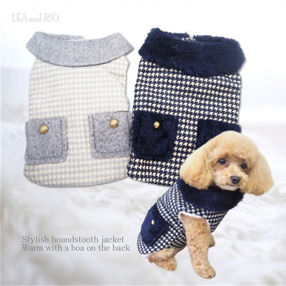 犬服^ ^ GUNZE グンゼ ドッグウェア 通年 パッチジャガード 犬服 犬 愛犬