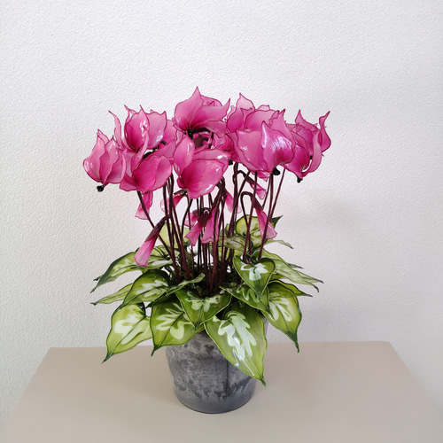 シクラメン♡アメリカンフラワー♡ディップアート♡鉢植え♡ピンク