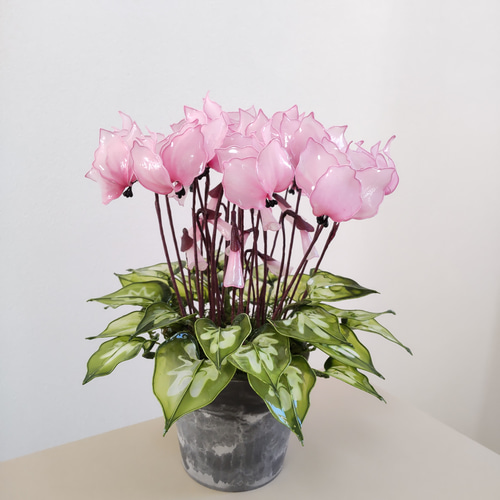 シクラメン♡アメリカンフラワー♡ディップアート♡鉢植え♡ピンク