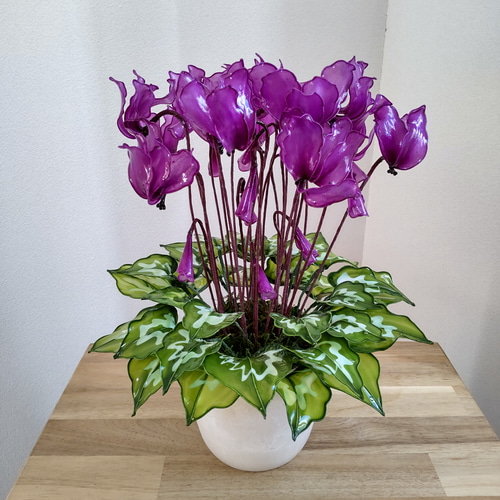 シクラメン♡アメリカンフラワー♡ディップアート♡鉢植え