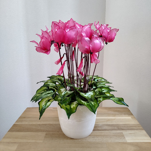 シクラメン♡アメリカンフラワー♡ディップアート♡鉢植え