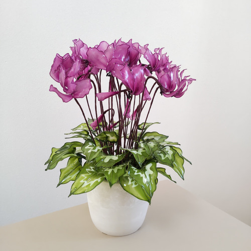 シクラメン♡アメリカンフラワー♡ディップアート♡鉢植え♡ピンク