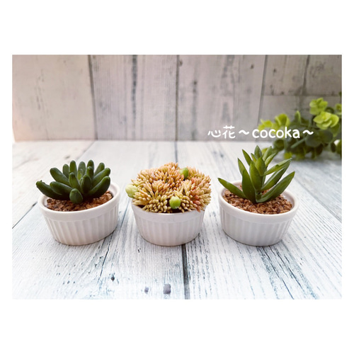 エアプランツ＆多肉植物 アレンジ(ホワイト)▫️フェイクグリーン・フェイク多肉植物 エアプランツ＆多肉植物 アレンジ(ホワイト)▫️フェイク