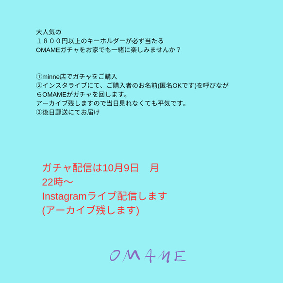 本日20時まで　残り4個　再販1800円以上のキーホルダーが必ずあたる❗ OMAME 　バックチャーム　インド刺繍リボン 4枚目の画像