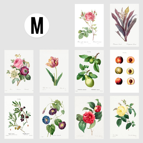 ルドゥーテ ボタニカル ポストカード 20種20枚セット お洒落 薔薇