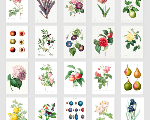 ルドゥーテ ボタニカル ポストカード 20種20枚セット お洒落 薔薇