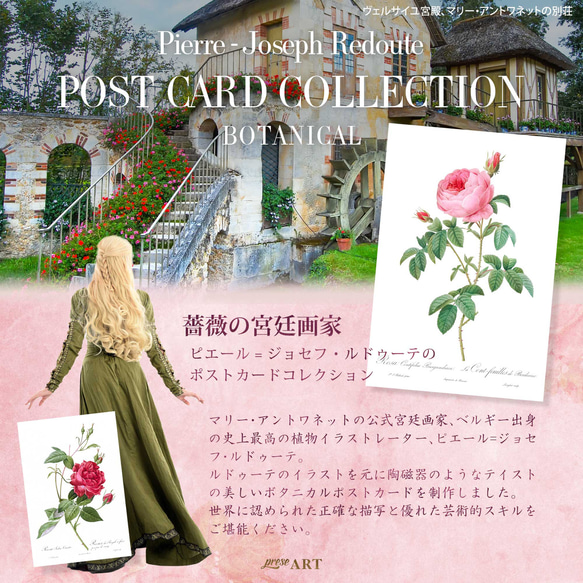 ルドゥーテ ボタニカル ポストカード 40種40枚セット お洒落 薔薇 ローズ 植物 花 絵ハガキ 2枚目の画像