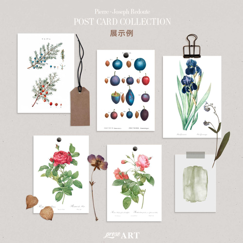 ルドゥーテ ボタニカル ポストカード 40種40枚セット お洒落 薔薇