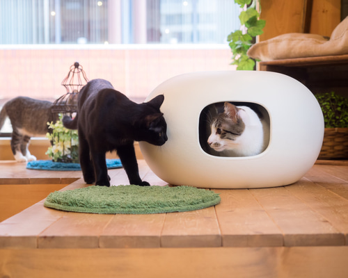 楽天市場】猫ちぐら 編み籠 猫 籐 猫ハンギング ハウス 2in1