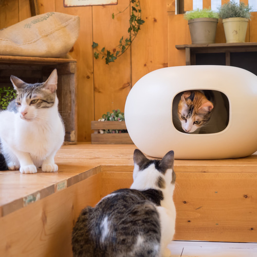 猫　かまくら　ねこちぐら　キャットハウス　作家さん 猫ちぐら ねこちぐら クッション マット おもちゃ付き ちぐら 猫