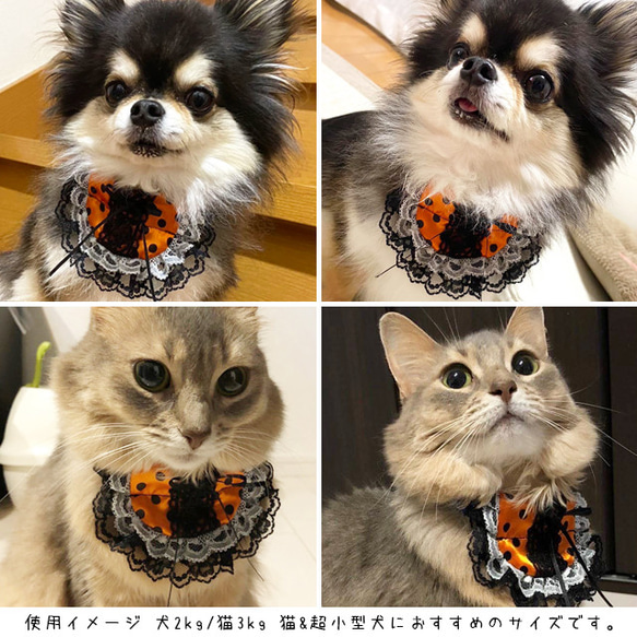 猫&超小型犬用フリルスタイ/ハロウィン n-0162-2 7枚目の画像