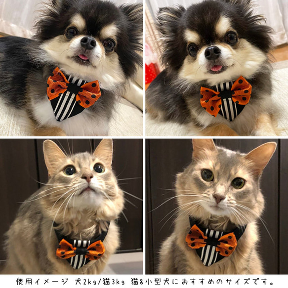 猫&小型犬用バンダナ/ハロウィン n-0162-1 6枚目の画像