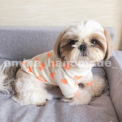 ハートTシャツ ネオンオレンジ  犬服 ペット服 わんこ服 チワワ シーズー トイプードル 7枚目の画像