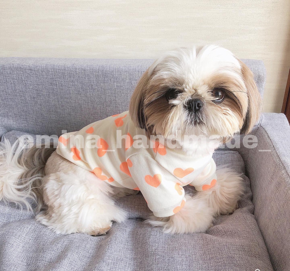 ハートTシャツ ネオンオレンジ  犬服 ペット服 わんこ服 チワワ シーズー トイプードル 7枚目の画像