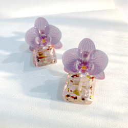 耳環 蝴蝶蘭 樹脂 琉璃 蘭花 銀飾 禮物 禮盒 耳夾 手工 第10張的照片