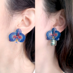 耳環 蝴蝶蘭 樹脂 琉璃 蘭花 銀飾 禮物 禮盒 耳夾 手工 第9張的照片