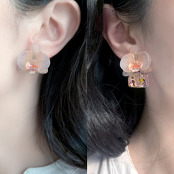 耳環 蝴蝶蘭 樹脂 琉璃 蘭花 銀飾 禮物 禮盒 耳夾 手工 夏天 第10張的照片