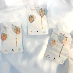 耳環 寬葉 彩葉芋 觀葉 植物 樹脂 銀飾 耳夾 禮物 禮盒 第1張的照片