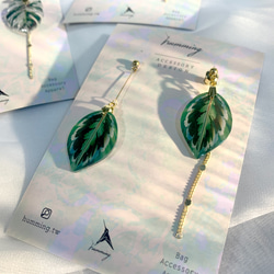 耳環 龜背芋 觀葉 植物 樹脂 水鑽 銀飾 耳夾 禮物 禮盒 第4張的照片