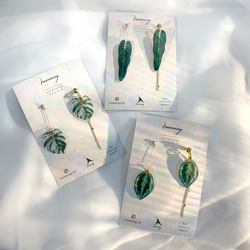 耳環 龜背芋 觀葉 植物 樹脂 水鑽 銀飾 耳夾 禮物 禮盒 第1張的照片
