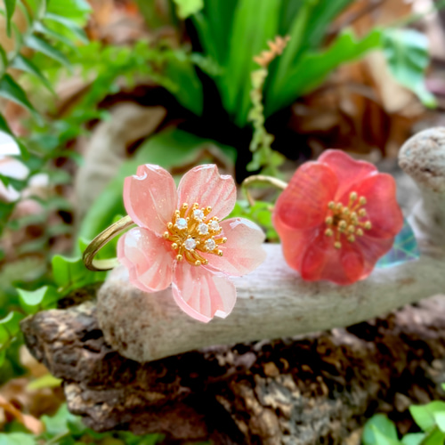 リング 桜 レジン オープンリング フラワー シルバー ライン