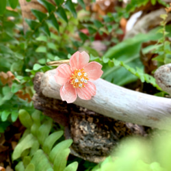 戒指 櫻花 樹脂 開口戒 花 銀飾 水鑽 生日 禮物 手工 旋轉 第1張的照片