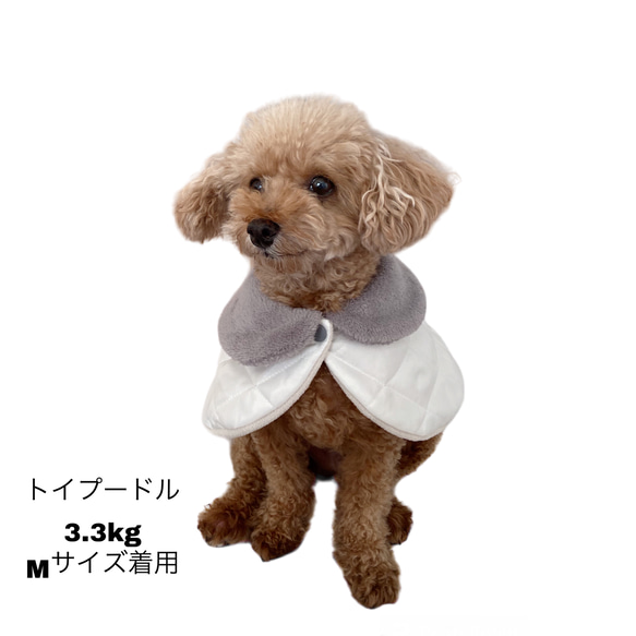 犬猫用 ケープコート ダウン風 冬のボア襟コート(薄グレーダウン　ベージュ) 犬服 7枚目の画像
