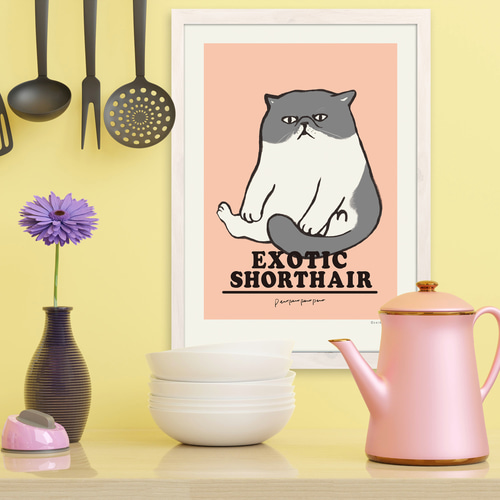 アートポスター エキゾチックショートヘア【A4サイズ】 イラスト