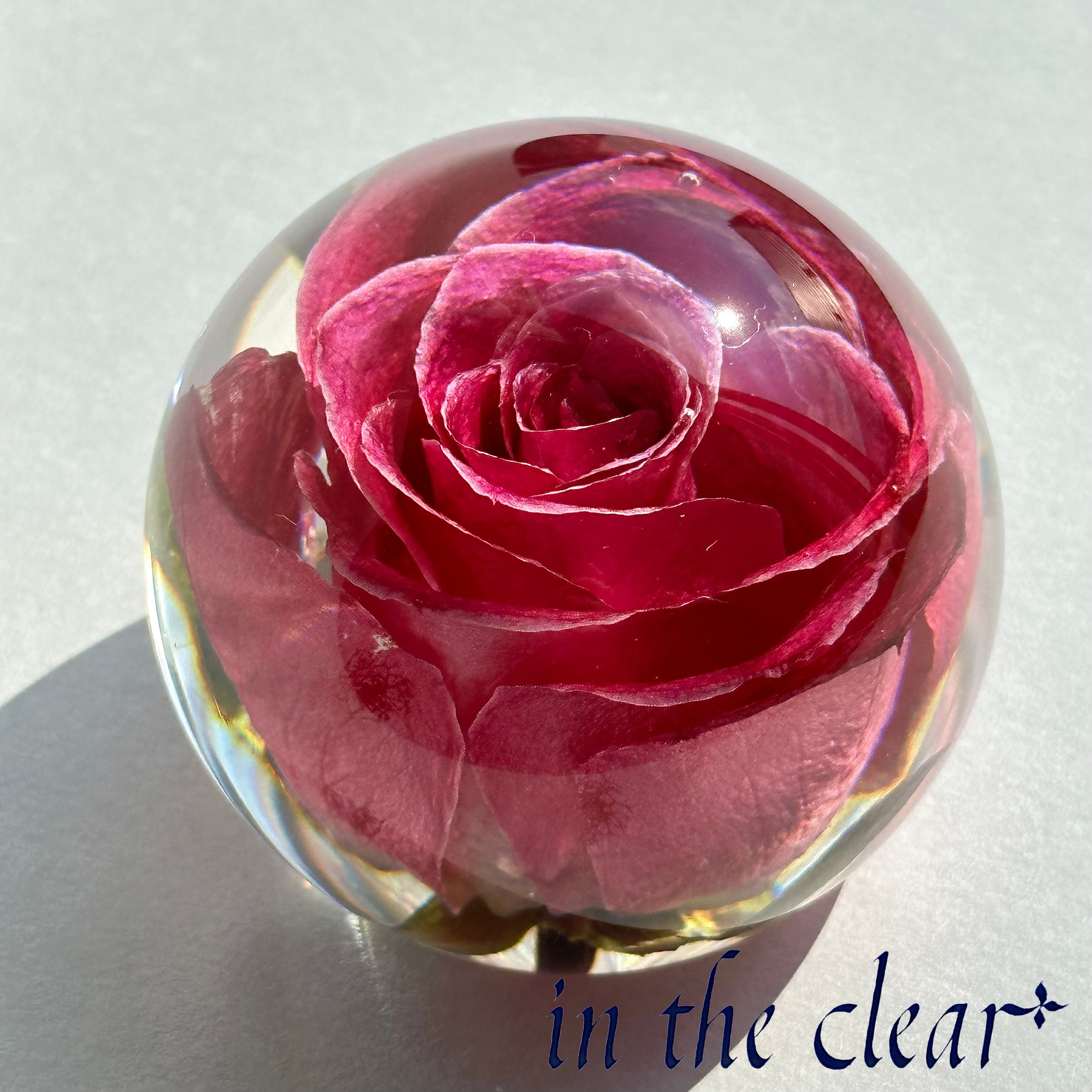 植物標本　薔薇　ピンク　レジン　６センチ球体