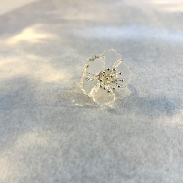 罌粟花 項鍊 戒指 樹脂 教師節 透明 銀飾 禮盒 禮物 第7張的照片
