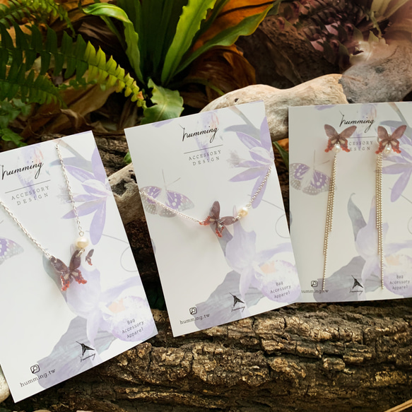 ヒロアゲハ蝶 ネックレス リング ブレスレット 樹脂コンビ シルバー ジュエリー ギフトボックス ギフト 1枚目の画像