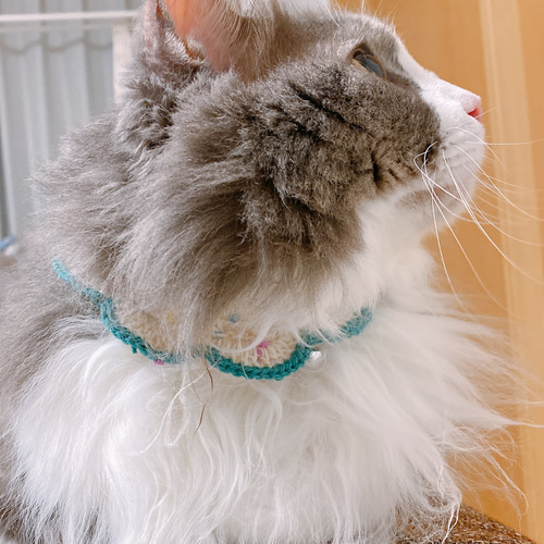 猫ちゃんのかぎ編み首輪（ポンポン） リード・首輪 amy 通販