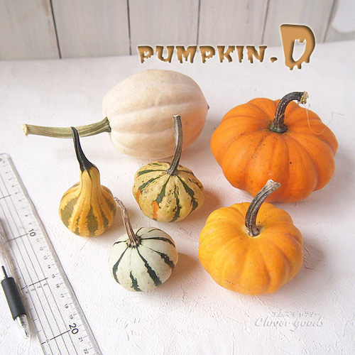 2023完売】鑑賞用おもちゃかぼちゃ～ハロウィン、カボチャ、置物、雑貨