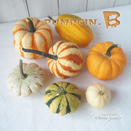 ハロウィン観賞用おもちゃかぼちゃ 40個 サチ5 B ハロウィン観賞用