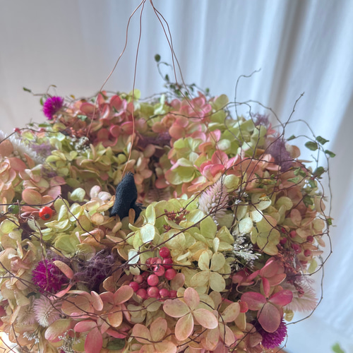 フライングリース(ミナヅキ&秋の草花) / ドライフラワー リース  