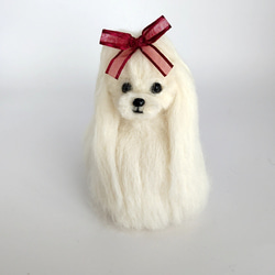 羊毛フェルトマルチーズ 羊毛フェルト フルコートのマルチーズ 羊毛フェルト Rurumaru 通販