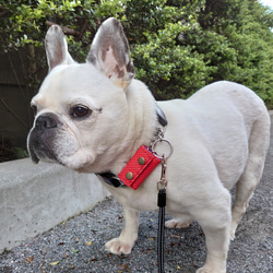 犬用の鑑札ケース（茶色のステッチ） 7枚目の画像