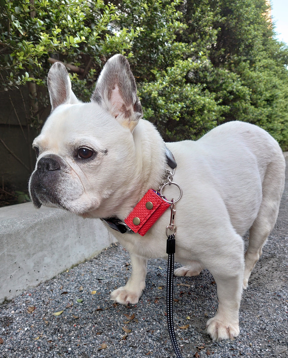 犬用の鑑札ケース（赤色のステッチ） 7枚目の画像