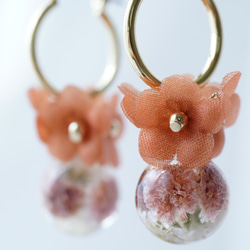 Enchante Blossom  -candy-  秋橙 3枚目の画像