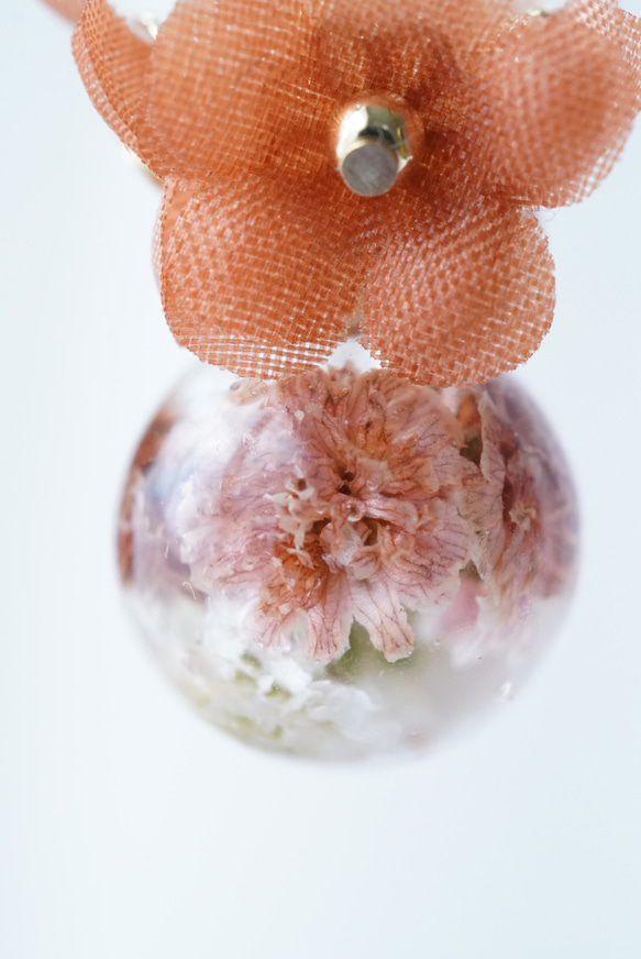Enchante Blossom  -candy-  秋橙 5枚目の画像
