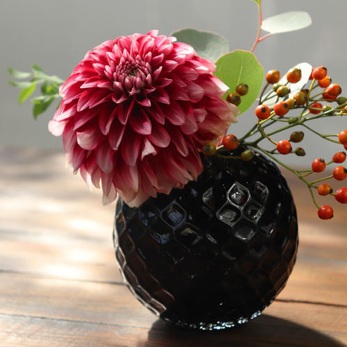 新色「Frutta一輪挿し（ブラックダリア）」ハロウィンディスプレイ