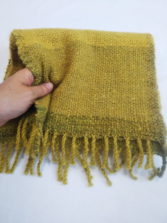 手紡ぎ、手織りマフラー（イエロー×グリーン） 草木染め、天然染料、ウール 13枚目の画像