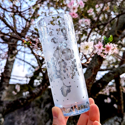桜ひらひらロングタンブラー（十月桜） グラス ART空（アートクー