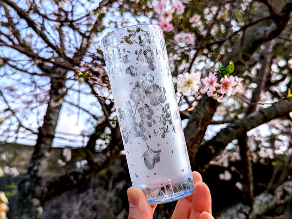 桜ひらひらロングタンブラー（十月桜） 2枚目の画像