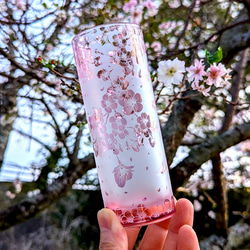 桜ひらひらロングタンブラー（十月桜） 1枚目の画像