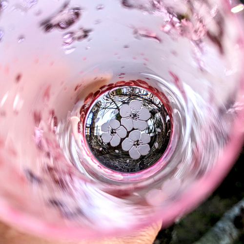 廃プラアート　桜 Amazon | マジック桜 (スタンダード) 10時間で咲く不思議な桜